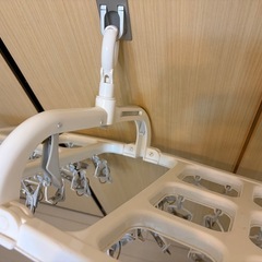 40ピン洗濯物ピンチハンガーの画像