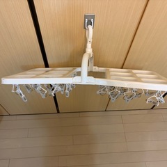 40ピン洗濯物ピンチハンガーの画像