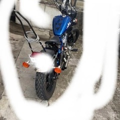 YAMAHA ビラーゴ250 xv250 実働の画像