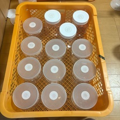 PPボトル　1400cc 10本　洗浄済み　おまけ付きの画像