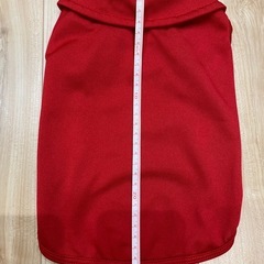 未使用品　ペット服　犬服　ポロシャツの画像