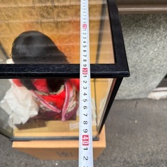 市松人形 赤と白の衣装 ガラスケース付きの画像