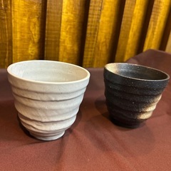 古代マグペアー　2つセットの画像