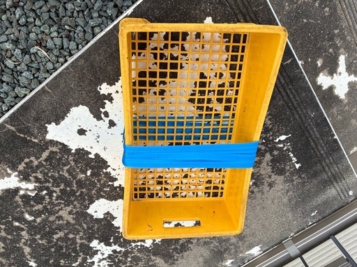 ppバンド結束機 