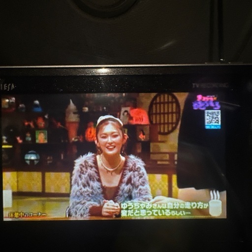 Panasonic VIERA ポータブルテレビ TV RECORDING