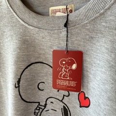 トレーナーの画像