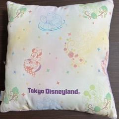 ディズニーランドで購入したクッション
の画像
