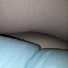 ヨギボーダブル/ヨギボーギガマックス　本体のみの画像