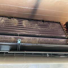 20代未経験で月25万スタート｜エアコンクリーニング正社員｜将来月50万も可能の画像