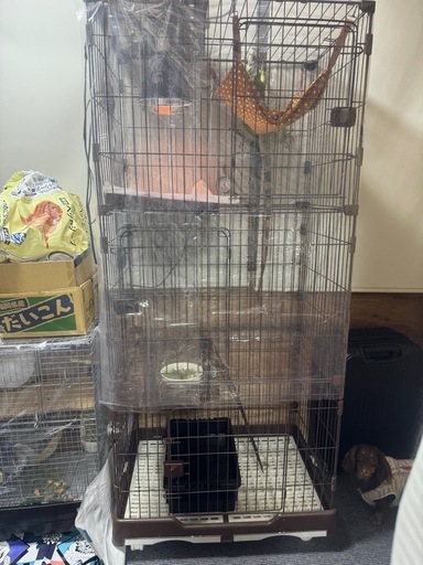 爬虫類、猫ケージ