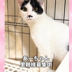 可愛いあーちゃん