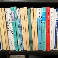 小説一冊50〜100円①の画像