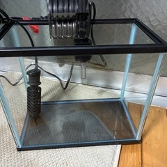 土日限定⑤すぐ使える水槽セットの画像