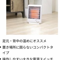 コンパクト電気ヒーター 600W/300W（ゼピール）の画像