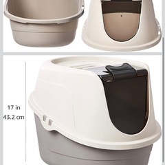 猫　トイレの画像