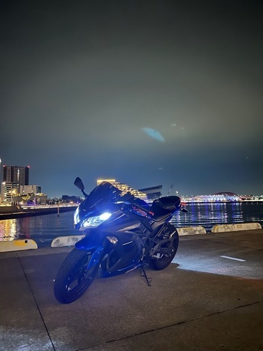 バイク NINJAEX250L