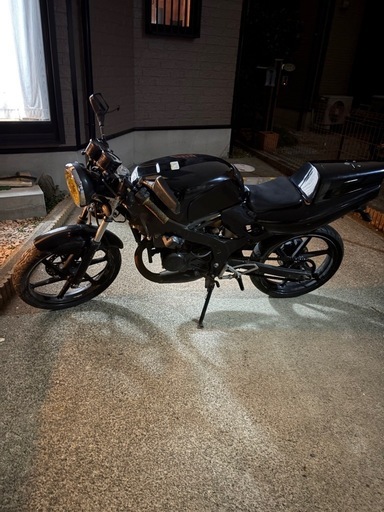 ns1 不動車