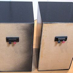 DigiFi DF19 フロントロードホーン　組み立て塗装済み　ユニット付き　ペアの画像