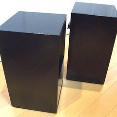 DigiFi DF19 フロントロードホーン　組み立て塗装済み　ユニット付き　ペアの画像