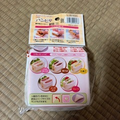 パンピタの画像