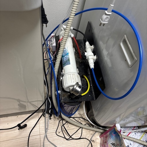 １２０センチ海水魚セット