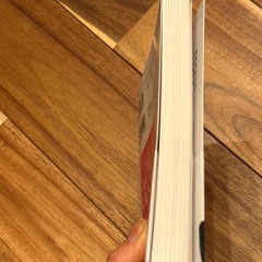 半信半疑のリテラシー プチ鹿島 美品
の画像