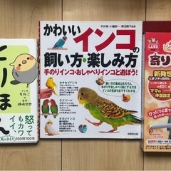 新生活に鳥を飼おう！ケージなどフルセット！  三次、東広島、安芸区でも可の画像