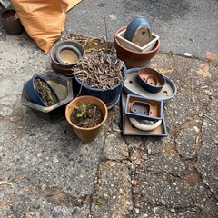 植木鉢　セットの画像