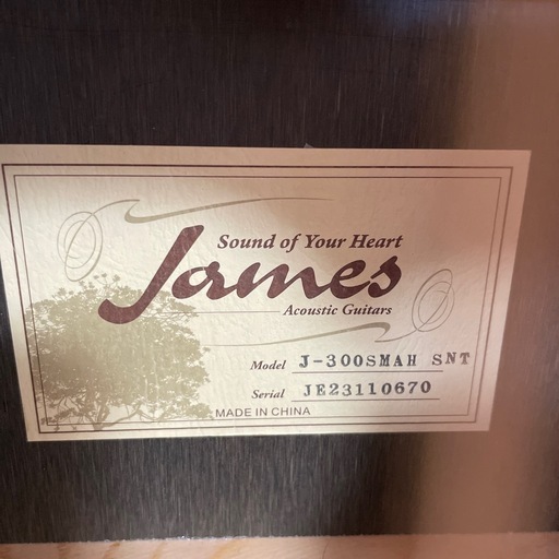 （受け渡し先決定）アコースティックギター　James　J300  