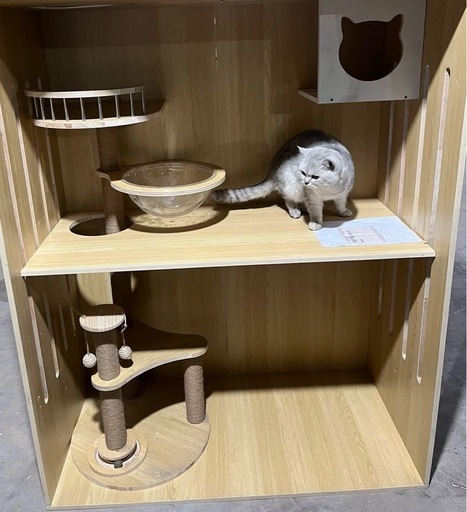 猫ハウス　自動給餌器給水器　トイレ　猫砂など