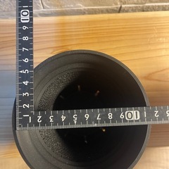 鉢　アガベ　塊根植物　サボテンの画像