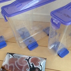 カブトムシ幼虫ケース3個の画像