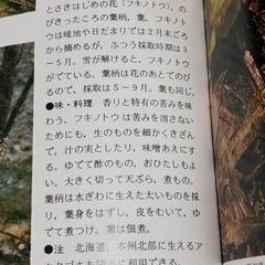 山菜の本差し上げます。の画像