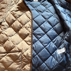 TAIONライトダウンジャケットの画像