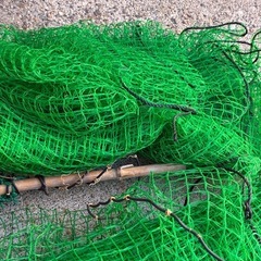 防鳥ネットの画像