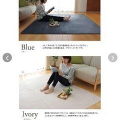 250x200cmベージュ　ラグ　美品　カーペットの画像