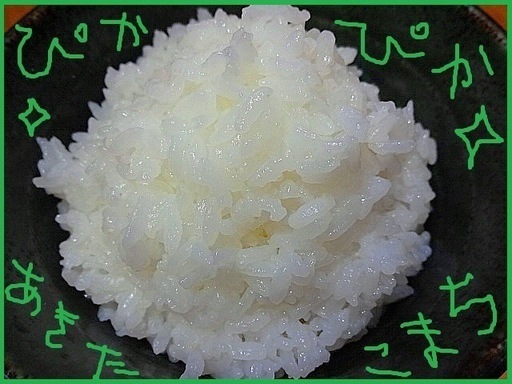 農家直送　令和7年産 極上あきたこまち 30kg 玄米 乳酸菌 極低農薬 1等米 送料格安