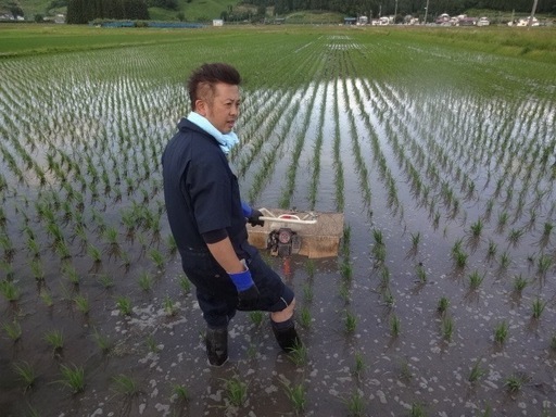 農家直送　令和7年産 極上あきたこまち 30kg 玄米 乳酸菌 極低農薬 1等米 送料格安