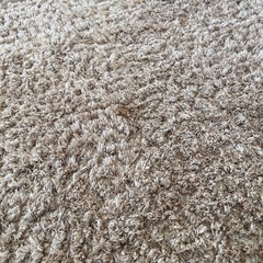 ニトリ　ラグ　カーペットの画像