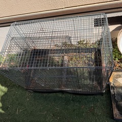 フェレット用ゲージの画像