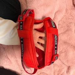 中型犬用ハーネスの画像