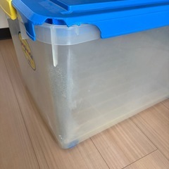 衣装ケース/収納ケースの画像