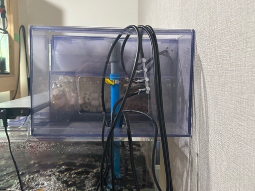 ⭐️さらに値下げしました⭐️90cm トリトン アクリル水槽 ぷぅ工房 上部フィルター セット