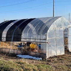 ビニールハウスの解体　撤去　お願いしたいです。