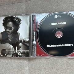 レニークラビッツの画像