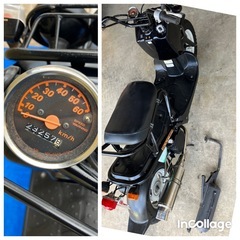 実働ズ-マ-AF58 人気のブラックの画像