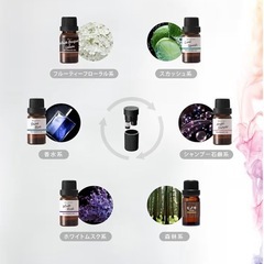 カーメイト噴射式フレグランスの画像