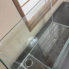 謝礼100円渡します‼️60×30×36cm水槽の画像