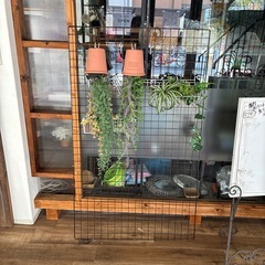 フェイク観葉植物　吊りタイプの画像