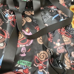 ヒスミニバックの画像